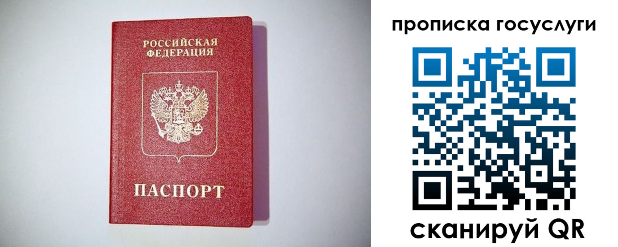 временная регистрация госуслуги в Благодарном